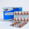 Pynocare- Melasma, Hyperpigmentation, Skin Care