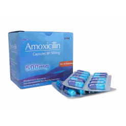 Amoxicillin 500Mg (Spmc) Card